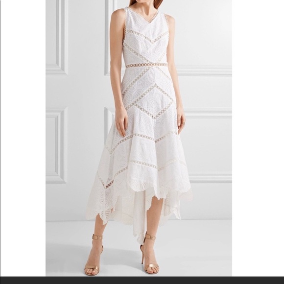 Zimmermann Dresses & Skirts - Zimmermann Mercer Fan Asymmetric Embroidered Dress
